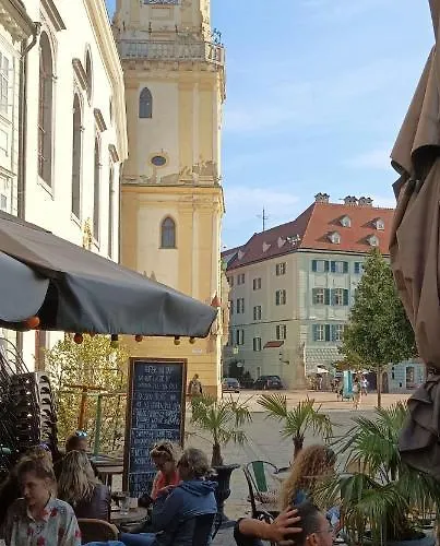 Apartment Flat Under The Castle